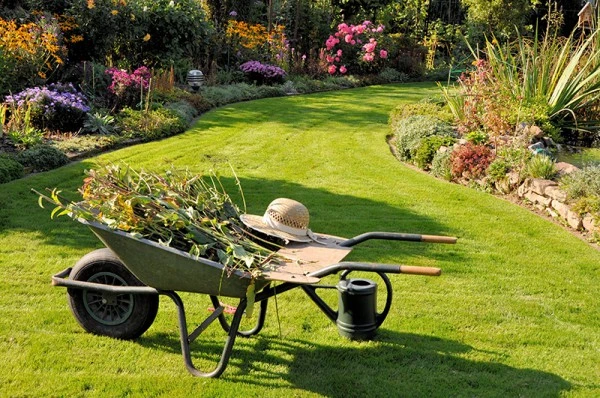 Aménagement de jardin